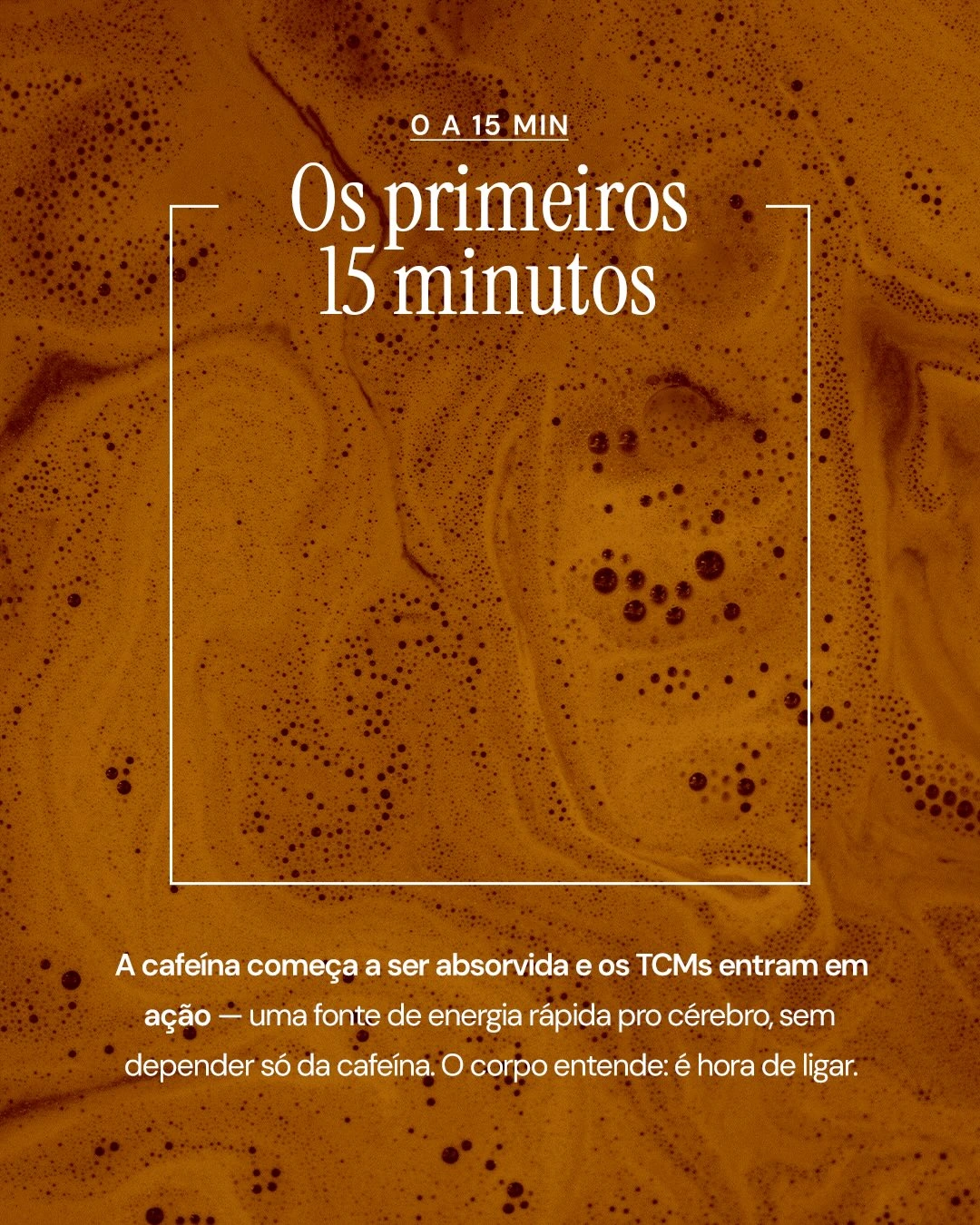 For You Solutions — O café ao longo do dia — tela 2 de 5